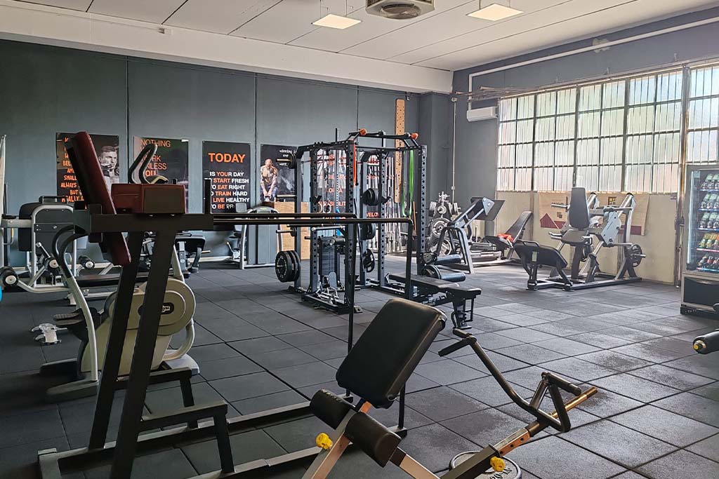 palestra di gerenzago