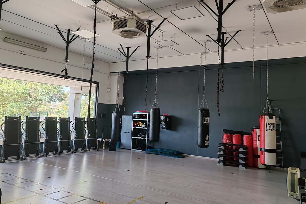 palestra di gerenzago