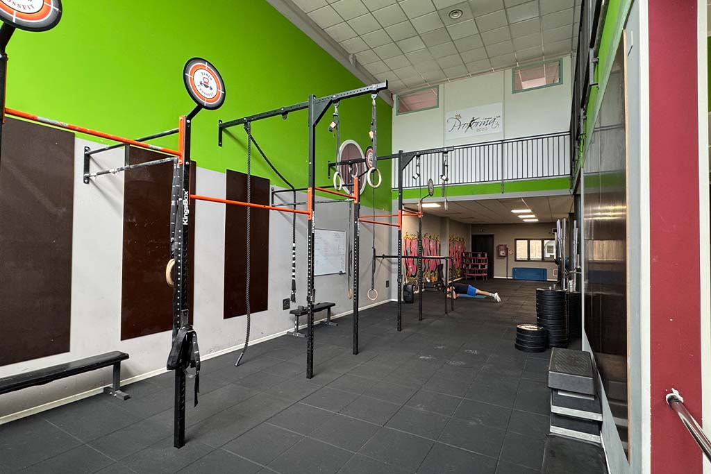 Palestra