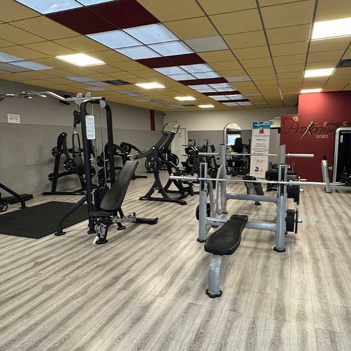 Proforma Palestra Cortolona