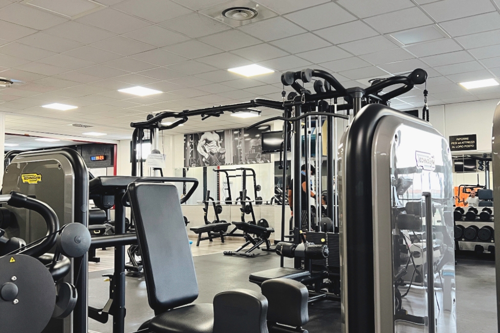Palestra Proforma Sant'Angelo Lodigiano