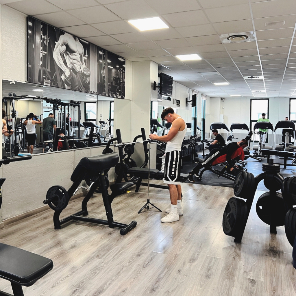 Palestra Proforma Sant'Angelo Lodigiano